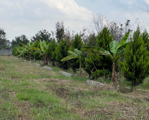 خرید زمین در آمل سنددار در روستای ولیسده