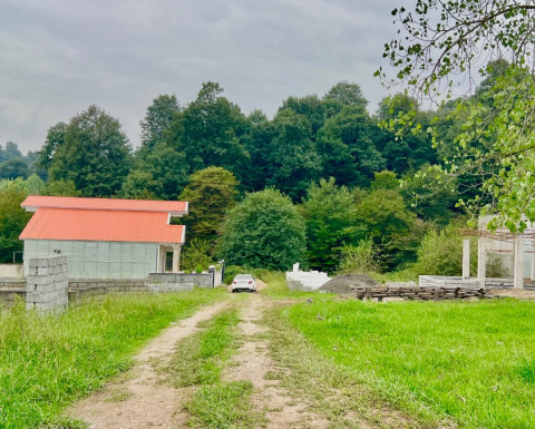 فروش زمین چسبیده به جنگل در نعمت آباد چمستان فروش زمین چسبیده به جنگل در نعمت آباد چمستان