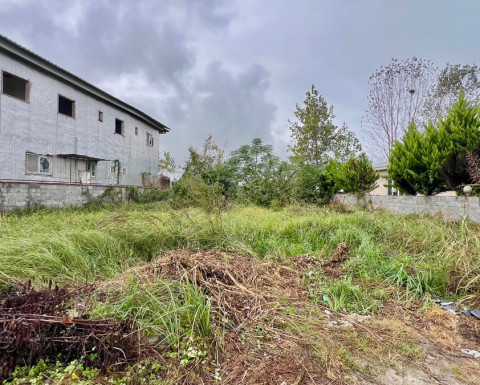 فروش زمین شهرکی در چمستان روستای بریکلا