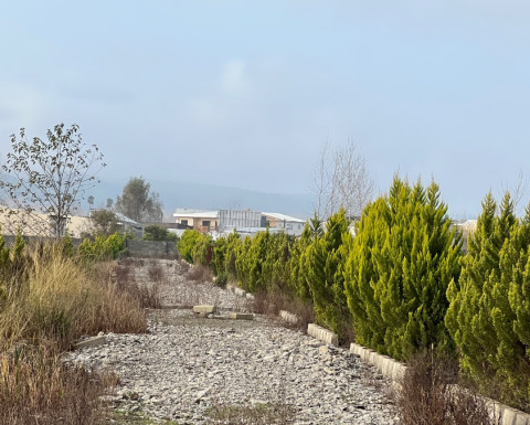 خرید زمین در چمستان با اقساط بلند مدت بدون بهره