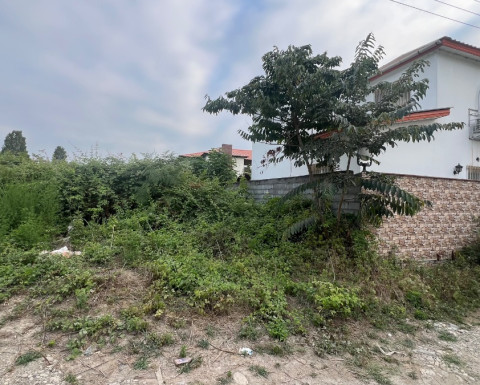 زمین 500 متری با سند در روستای عبدلده چمستان زمین 500 متری با سند در روستای عبدلده چمستان