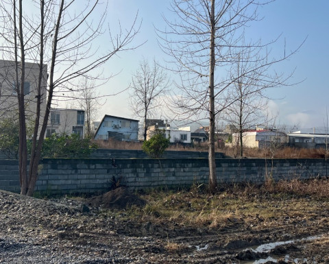 فروش زمین زیر قیمت در چمستان با ویو جنگل