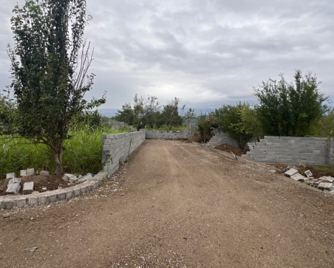 فروش زمین جنگلی 150 متری در همصفا چمستان فروش زمین جنگلی 150 متری در همصفا چمستان