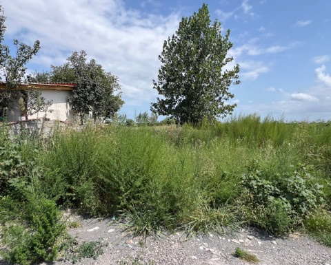 سه پلاک زمین اقساطی در منطقه جنگلی چمستان سه پلاک زمین اقساطی در منطقه جنگلی چمستان