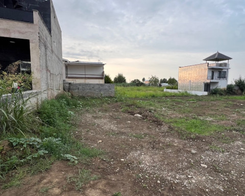 خرید زمین در چمستان 200 متری روستای سنگتاب