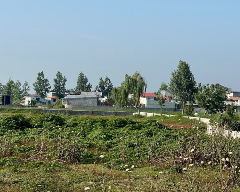 فروش 30 هزار متر زمین در کیابسر چمستان با شرایط اقساطی