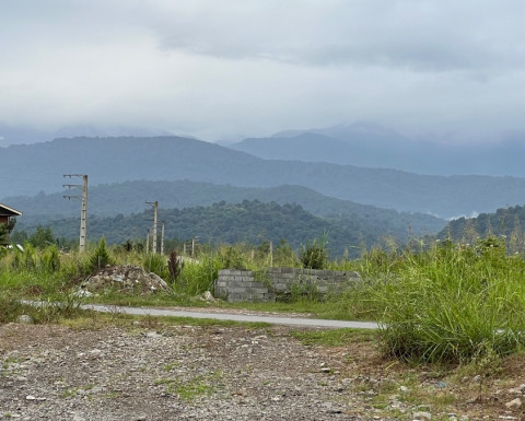 فروش زمین جنگلی زیر یک میلیارد تومان در همصفا