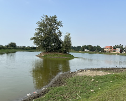 ارزونترین زمین شهرکی جنگلی قابل ساخت در چمستان ارزونترین زمین شهرکی جنگلی قابل ساخت در چمستان