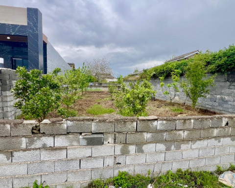 خرید زمین در چمستان شهرکی باغ مرکبات در شهربند