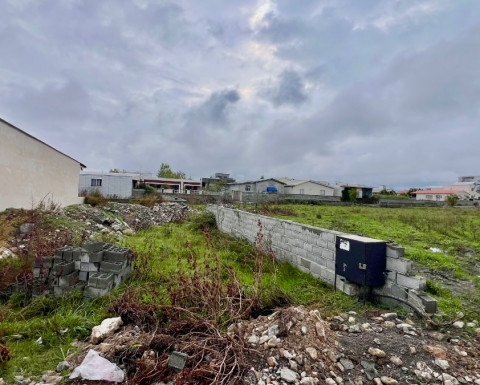 خرید زمین زیر قیمت در چمستان روستای رزک