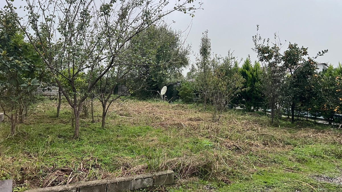 فروش زمین سنددار روستای همصفا چمستان با ویو جنگل فروش زمین سنددار روستای همصفا چمستان با ویو جنگل