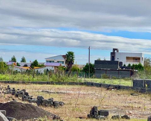 فروش زمین جنگلی در چمستان با سند تک برگ روستای کیابسر