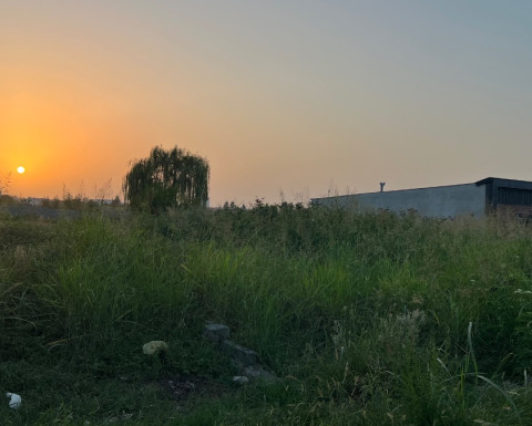 زمین 210 متری واقع در روستای سرکاج شهر نور