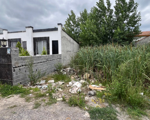 زمین شهرکی جنگلی 150 متری در خطیب کلا چمستان زمین شهرکی جنگلی 150 متری در خطیب کلا چمستان