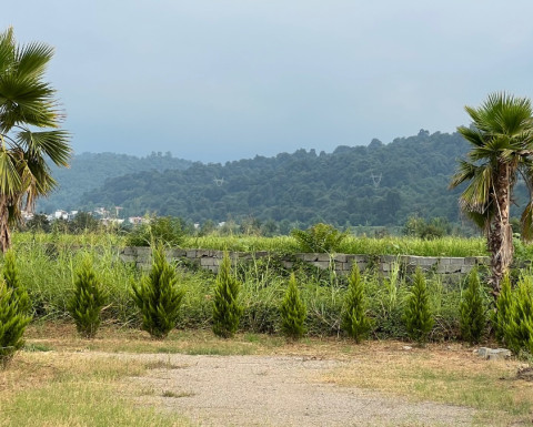 زمین سند تک برگ شهرکی در کیابسر چمستان زمین سند تک برگ شهرکی در کیابسر چمستان
