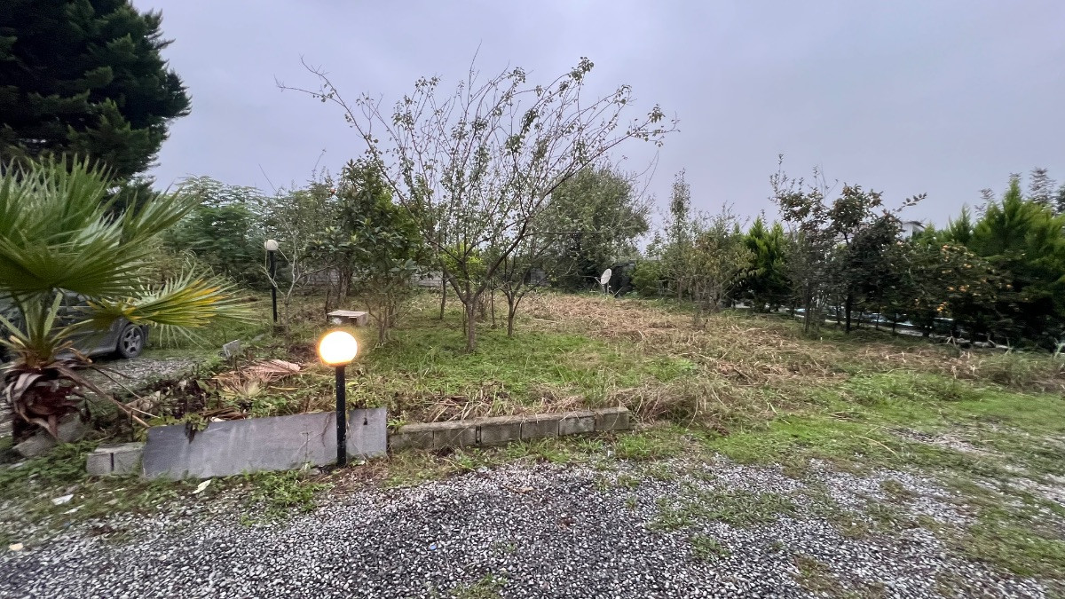 فروش زمین سنددار روستای همصفا چمستان با ویو جنگل فروش زمین سنددار روستای همصفا چمستان با ویو جنگل