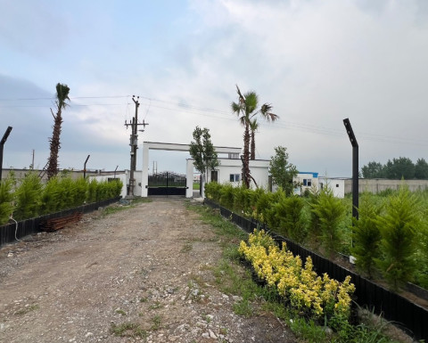 خرید زمین در چمستان سنددار روستای سرسبز بلویج