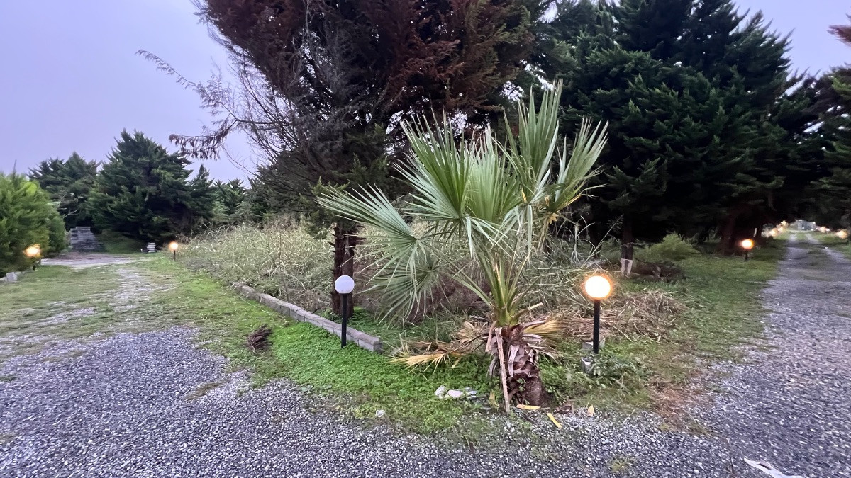 فروش زمین سنددار روستای همصفا چمستان با ویو جنگل فروش زمین سنددار روستای همصفا چمستان با ویو جنگل