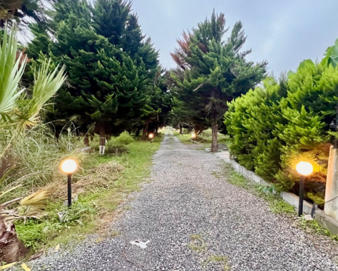 فروش زمین سنددار روستای همصفا چمستان با ویو جنگل