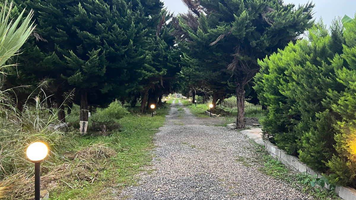 فروش زمین سنددار روستای همصفا چمستان با ویو جنگل فروش زمین سنددار روستای همصفا چمستان با ویو جنگل